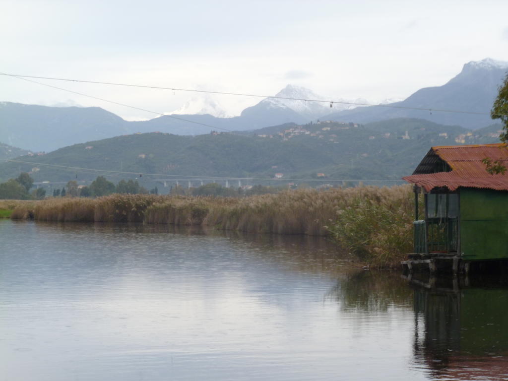 Le Ginestre B & B Massarosa Dış mekan fotoğraf