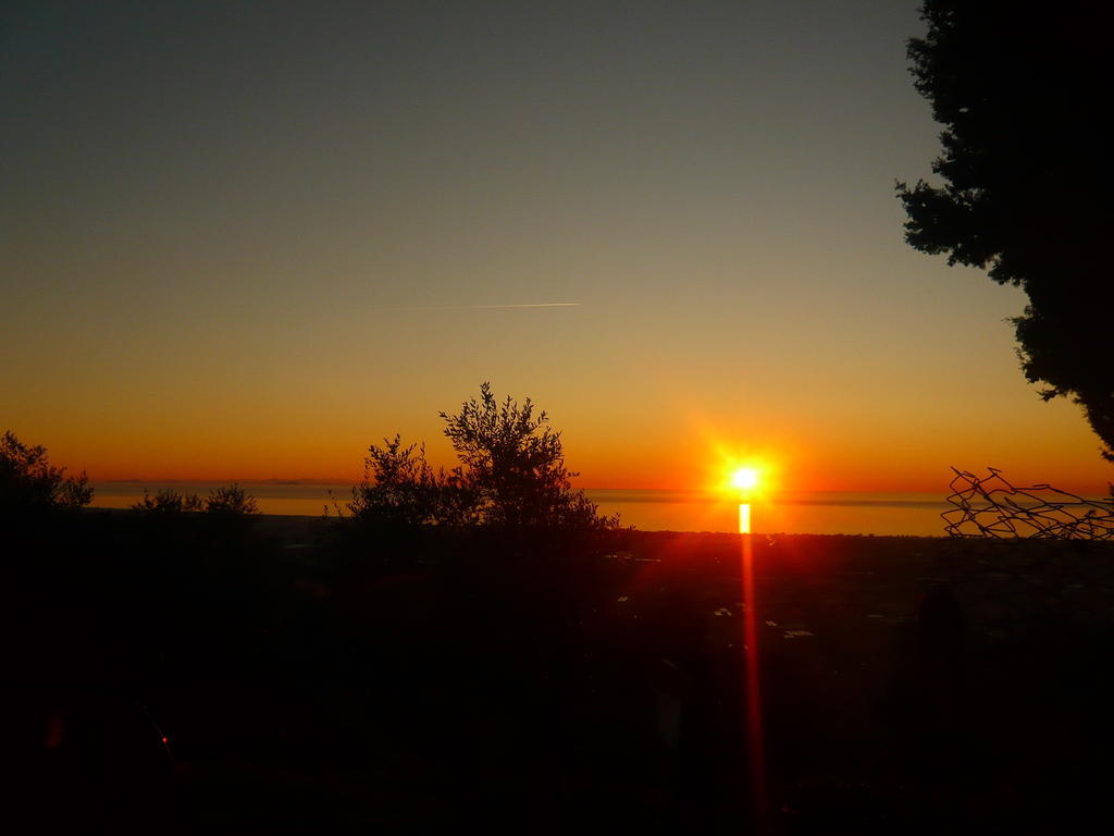 Le Ginestre B & B Massarosa Dış mekan fotoğraf