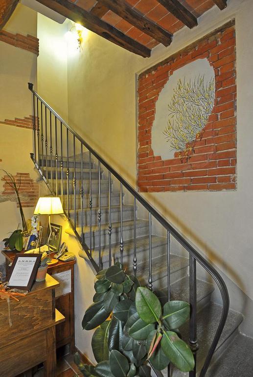 Le Ginestre B & B Massarosa Dış mekan fotoğraf